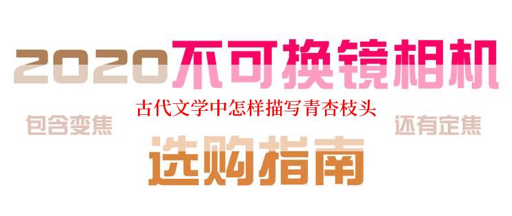 古代文学中怎样描写青杏枝头