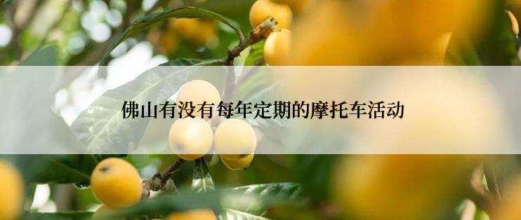  佛山有没有每年定期的摩托车活动