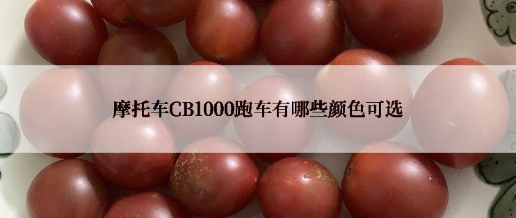 摩托车CB1000跑车有哪些颜色可选