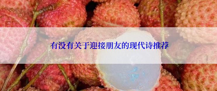  有没有关于迎接朋友的现代诗推荐