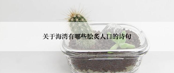 关于海湾有哪些脍炙人口的诗句