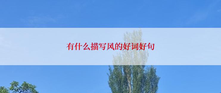 有什么描写风的好词好句