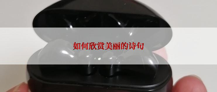 如何欣赏美丽的诗句