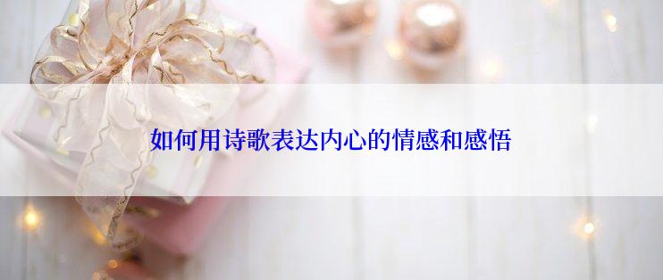 如何用诗歌表达内心的情感和感悟