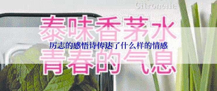 厉志的感悟诗传达了什么样的情感