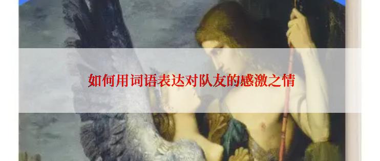  如何用词语表达对队友的感激之情