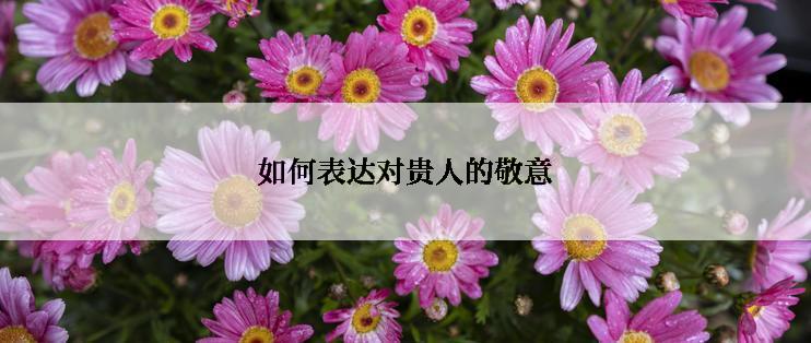 如何表达对贵人的敬意