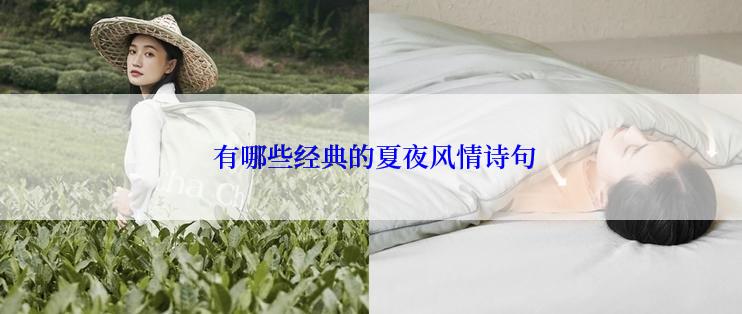  有哪些经典的夏夜风情诗句