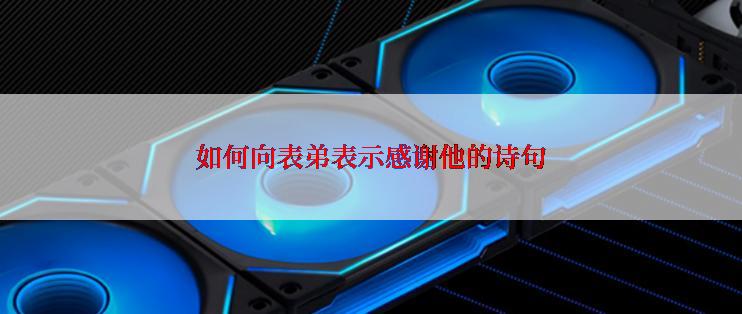 如何向表弟表示感谢他的诗句