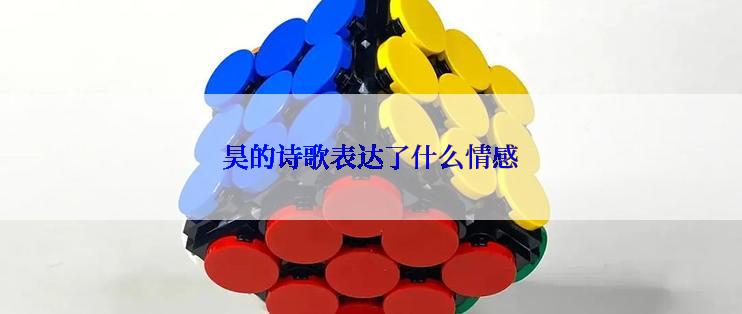 昊的诗歌表达了什么情感