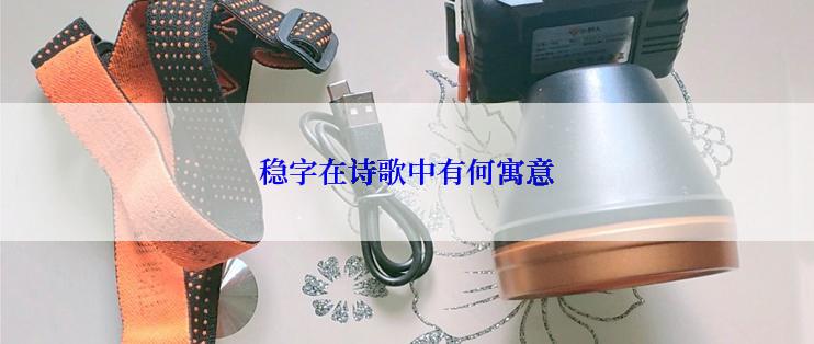 稳字在诗歌中有何寓意