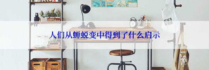 人们从蝉蜕变中得到了什么启示