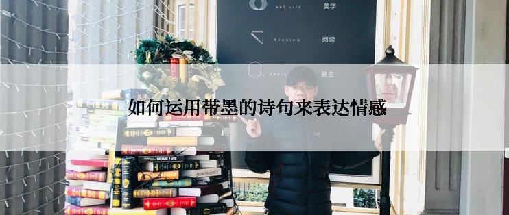  如何运用带墨的诗句来表达情感