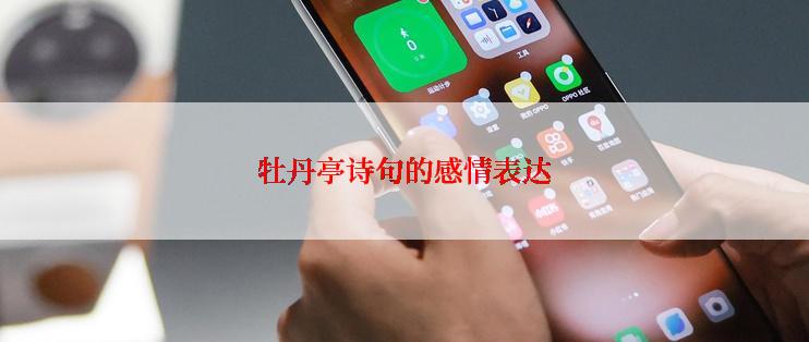 牡丹亭诗句的感情表达