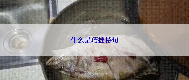 什么是巧拙诗句